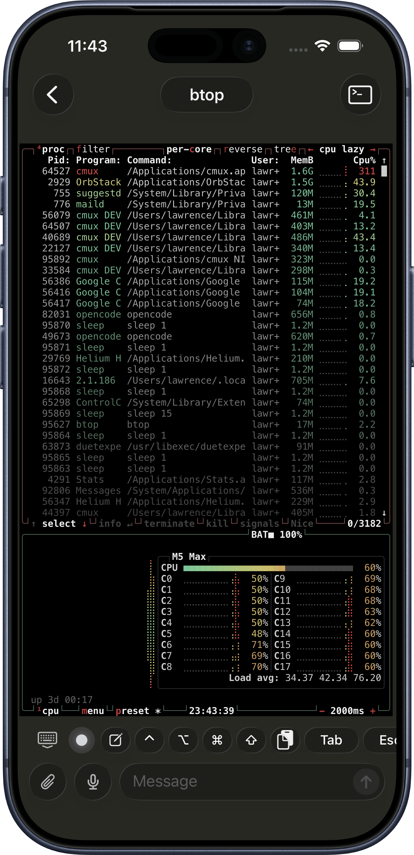 iPhone の cmux ターミナルで動作する btop