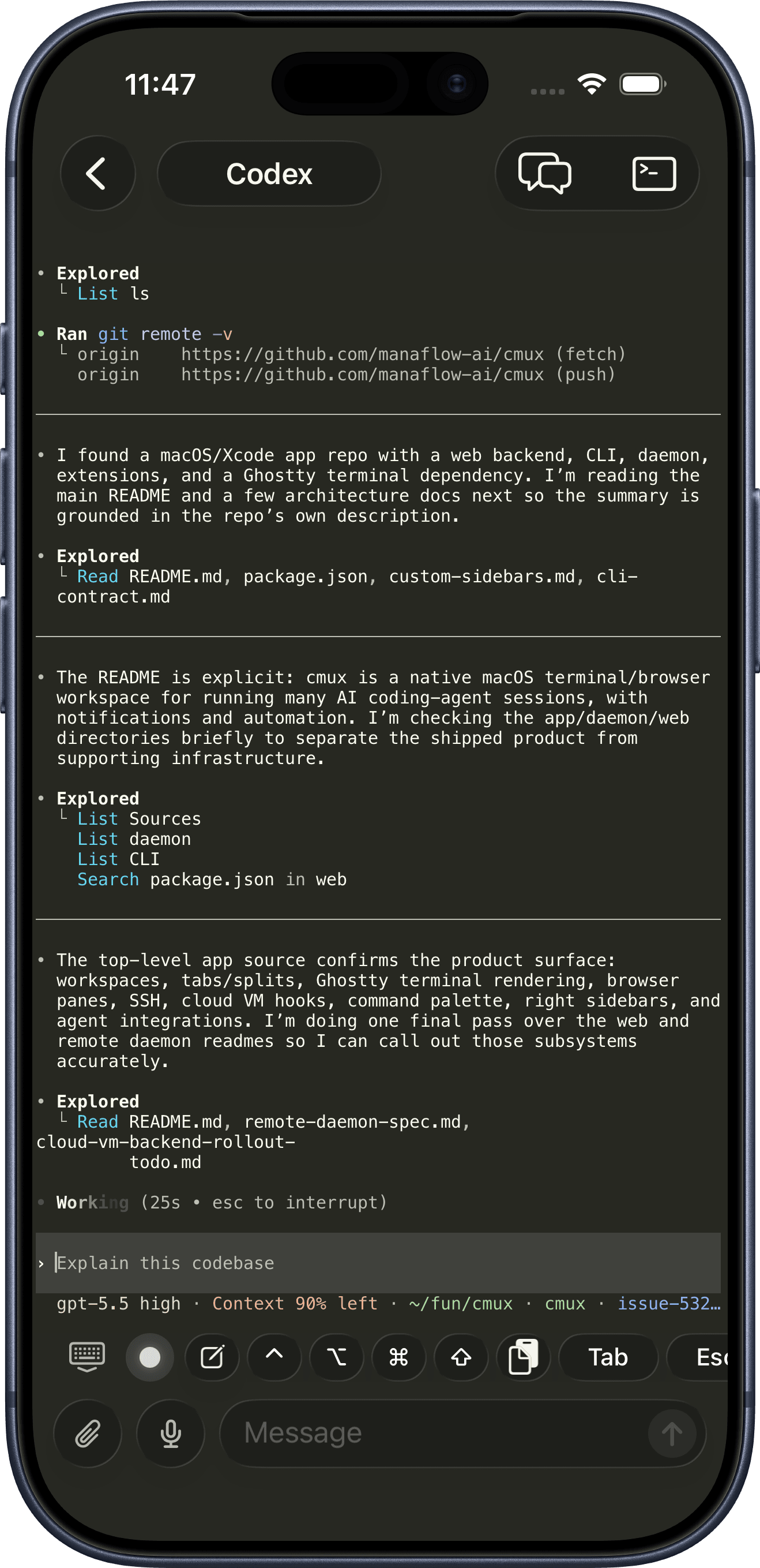 iPhone の cmux ターミナルで動作する Codex