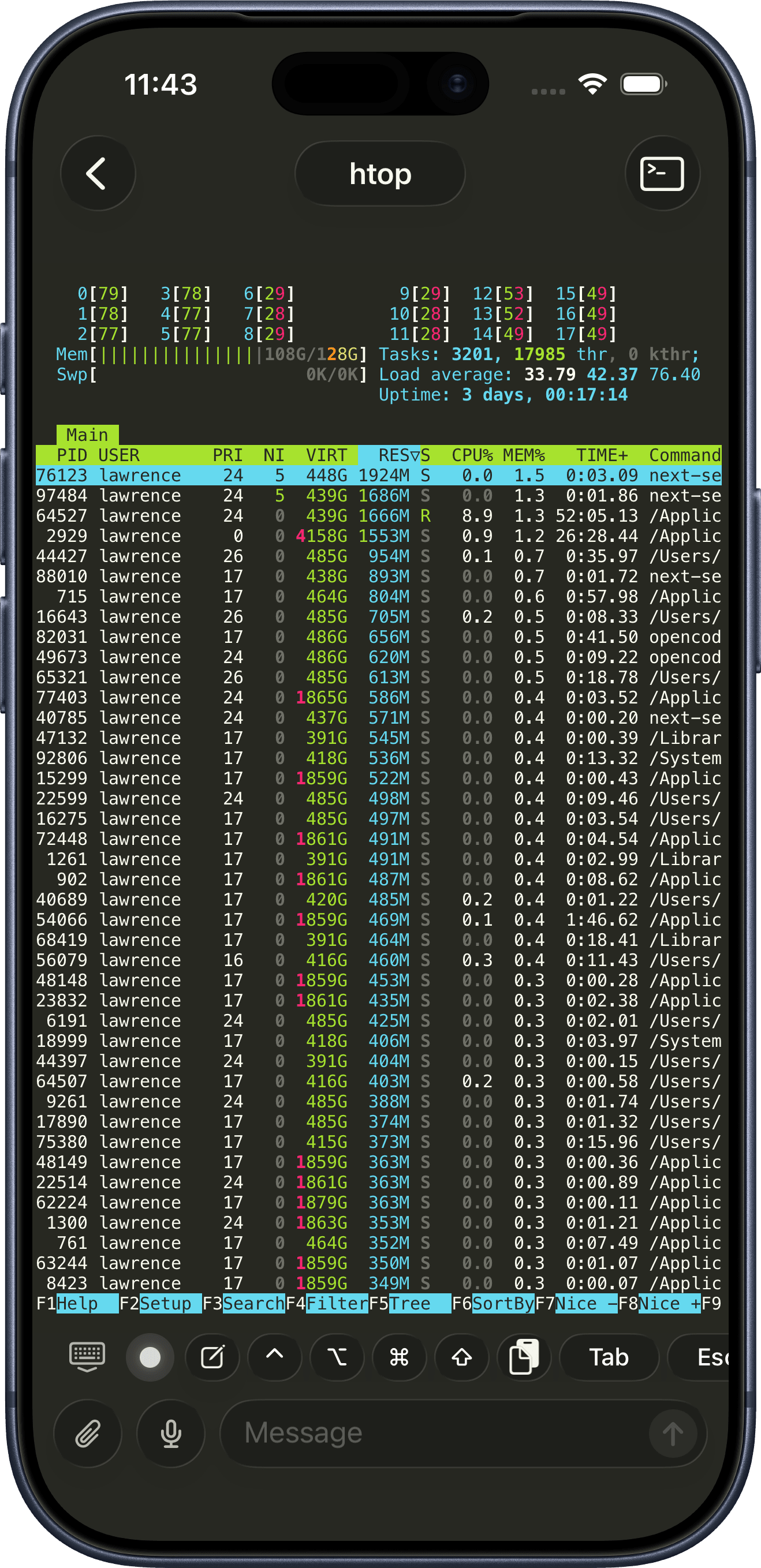 iPhone の cmux ターミナルで動作する htop