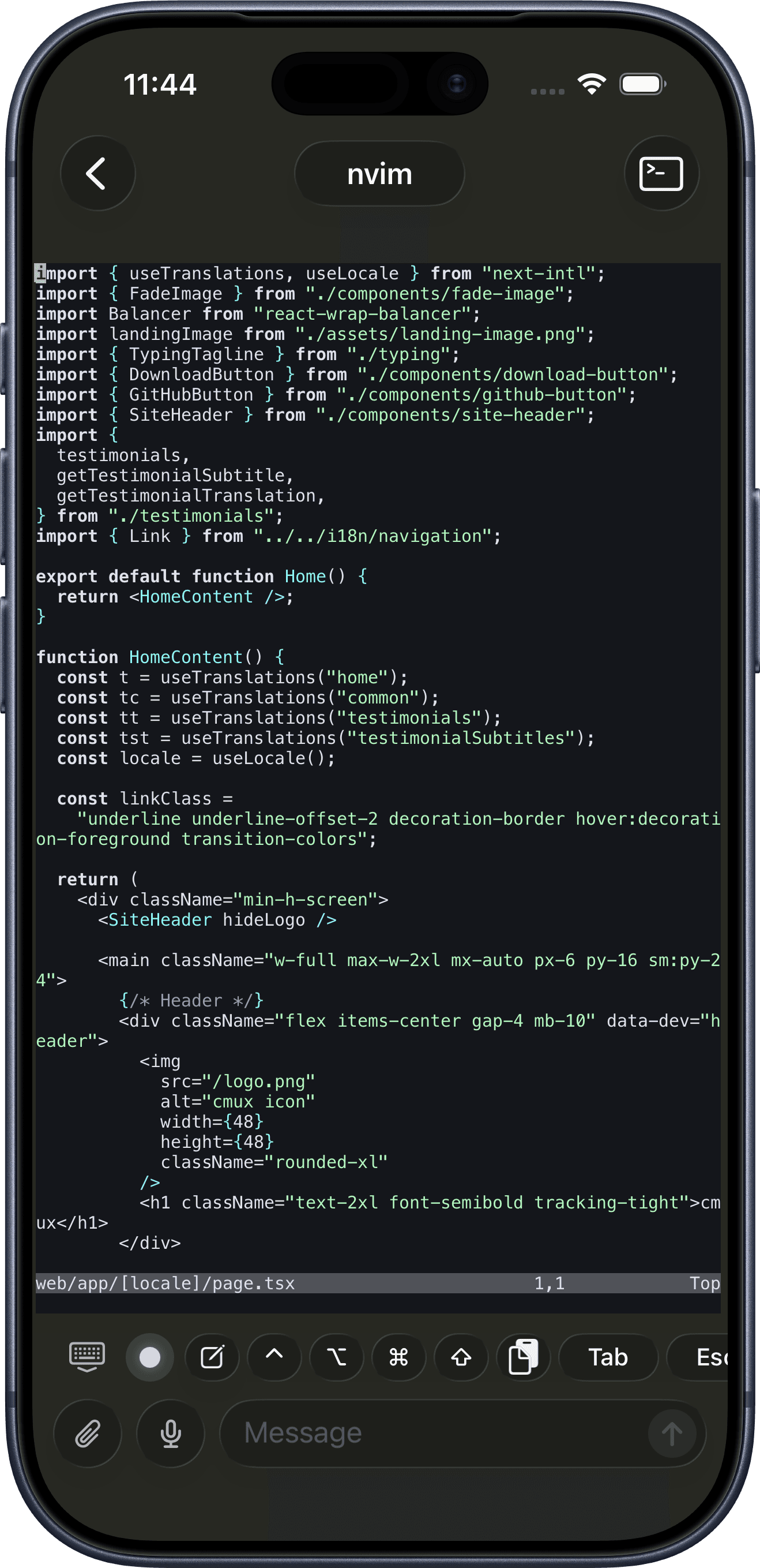 iPhone の cmux ターミナルで動作する Neovim