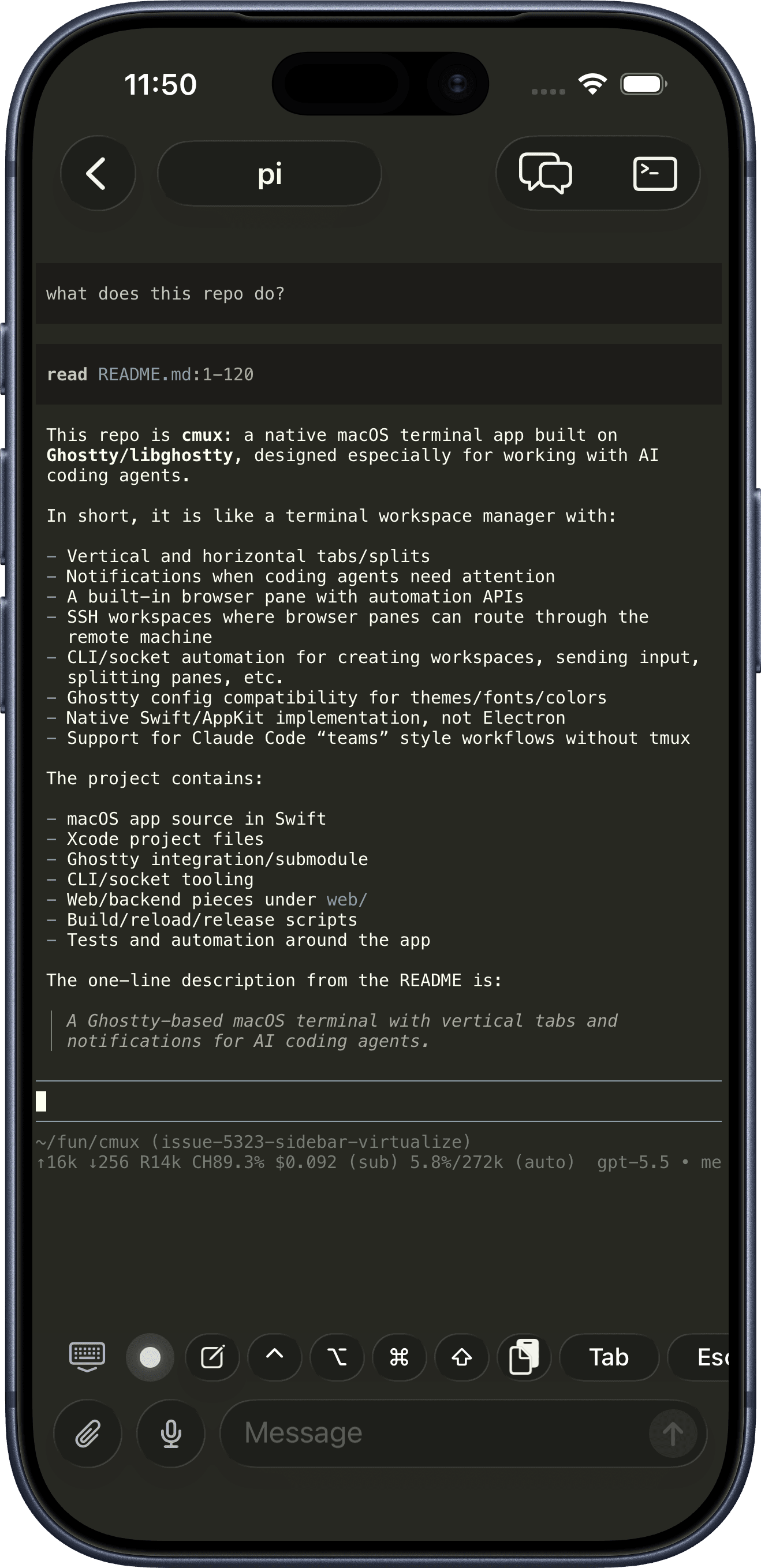 iPhone の cmux ターミナルで動作する pi