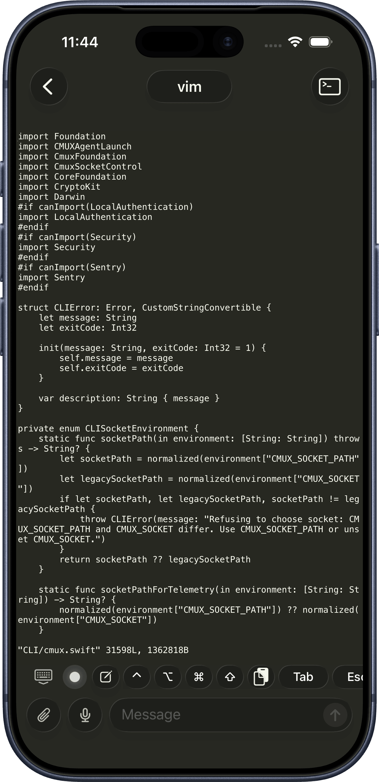 iPhone の cmux ターミナルで動作する Vim